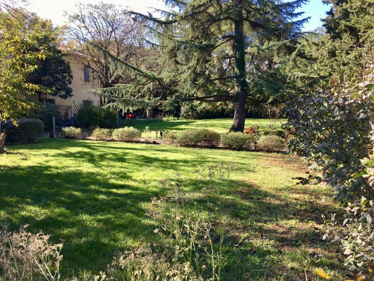 Gites Avec Piscine Et Jacuzzi Au Mas De Cadoule Saint-Just  Стая снимка